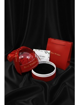 Kırmızı Fanus Içinde Gül Takı Organizerli Hediye Kutusu -Sevgililer Günü ve Yıl Dönümü Hediye Seti