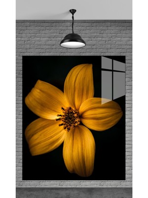 Marsilyan Muhteşem Siyah Zemine Sarı Papatya Temperli Cam Üzerine Tablo Sevgilinize Yılbaşı Hediye