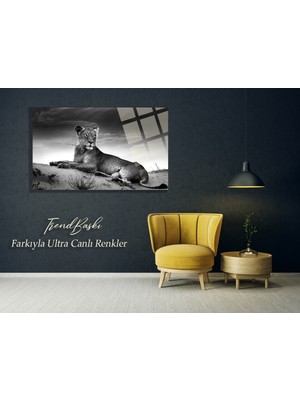 Marsilyan Dişi Aslan 4mm Lüks Kırılmaz Temperli Yüksek Çözünürlüklü Cam Tablo