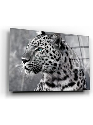 Marsilyan Nw Özel  Leopar Cam Tablo