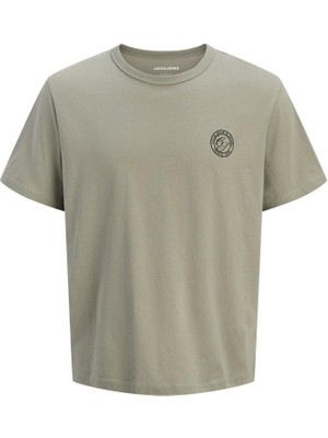 Jack & Jones Jack Jones Allıan Relax Fit Bisiklet Yaka Erkek Tişört 12288107