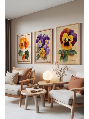 Zestia Ahşap Çerçeveli 3’lü Tablo Seti, Renkli Menekşeler – Klasik Botanik, Salon Set No: 30082