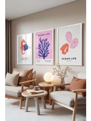 Zestia Beyaz Çerçeveli 3’lü Tablo Seti, Ocean Life – Denizatı, Mercan ve Midye, Oturma Odası Set No: 30047
