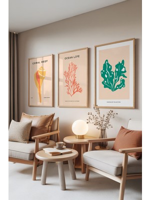 Zestia Ahşap Çerçeveli 3’lü Tablo Seti, Coral Reef – Deniz Kabukları ve Mercanlar, Ofis Set No: 30048