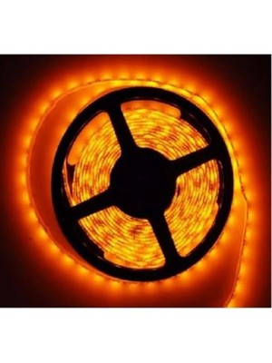 3 Çipli Şerit LED Iç Mekan 5m, Trafosuz Çalışma Özelliği