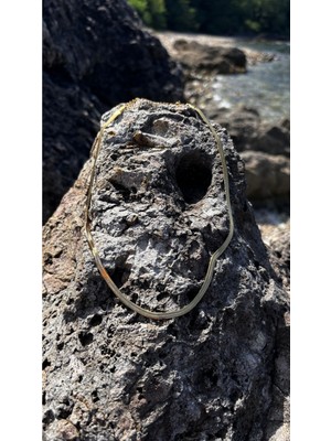 Glossy Jewelery Italyan Zincir Balık Sırtı Kolye