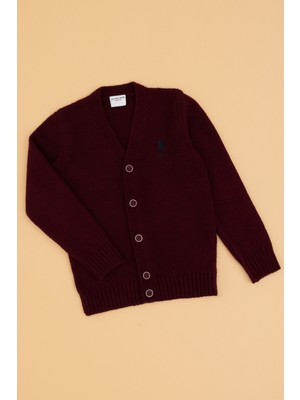 U.s. Polo Assn. Erkek Çocuk Bordo Hırka (Triko) 50317150-VR014