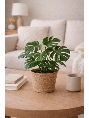 Dekorasyaa Yuvarlak Hasır Saksı Seti - Korumalı - Ev Dekorasyon - 19X15CM