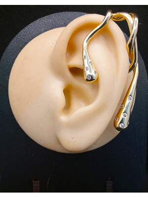 Sevas Gold Kadın Altın Renk Kıkırdak Küpe