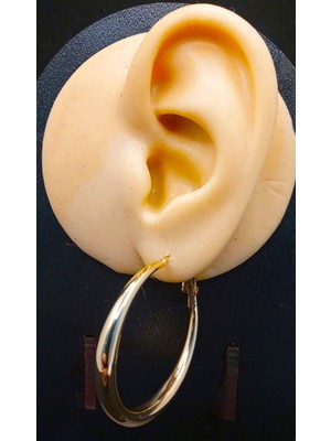 Sevas Gold Kadın Altın Renk Halka Küpe