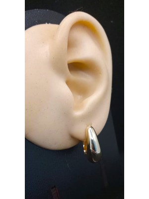 Sevas Gold Kadın Altın Renk Damla Küpe