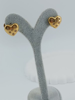 Lagül Aksesuar 316L Çelik Kararmaz Kalp ve Taş Detaylı Küpe