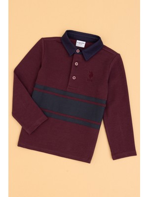 U.s. Polo Assn. Erkek Çocuk Plum Sweatshirt 50315749-VR177