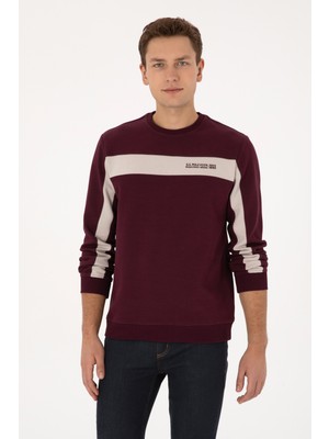 U.s. Polo Assn. Erkek Plum Sweatshirt 50316354-VR177