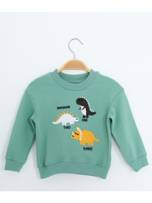 Toontoy Erkek Çocuk Nakışlı Sweatshirt