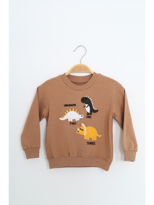 Toontoy Erkek Çocuk Nakışlı Sweatshirt