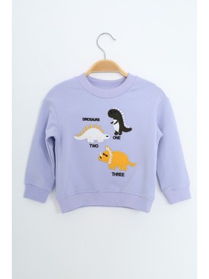 Toontoy Erkek Çocuk Nakışlı Sweatshirt