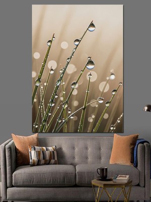 Karizma Tablo Çiy Damlaları ve Çimen Dekoratif Kanvas - Mdf Ahşap Tablo