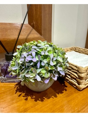 FB Cup Premium Modern Gri Saksıda Gerçekçi Yapay Dekoratif Bitki – 17 x 13 cm – Ev ve Ofis Dekoru