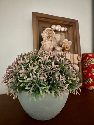 FB Cup Premium Yapay Grevillea Çiçeği Antrasit Saksılı Premium Ev Ofis Dekorasyonu 🌸