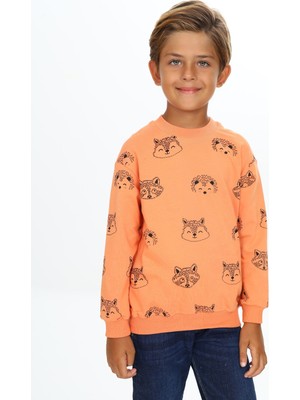 Toontoy Erkek Çocuk Relax Fit Kapüşonlu Cepli Hafif Düşük Omuz Nakışlı Sweatshirt