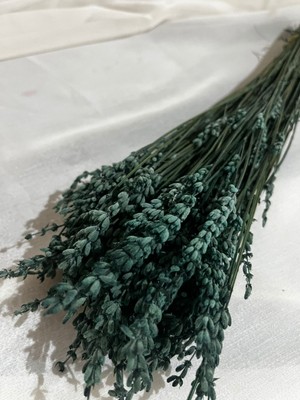 Ziva Dekor Yeşil Şoklanmış Lavanta 50 Gram