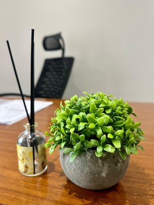 FB Cup Yapay Şimşir (Boxwood) Çiçeği Premium Antrasit Saksılı Ofis Ev Dekorasyonu 🌿