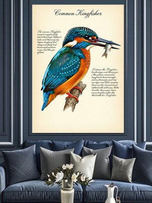 Artmeg Renkli Yalıçapkını Kuş Posteri Dekoratif Kanvas - Mdf Ahşap Tablo