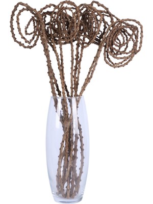 Yapay Çiçek Sitesi Tropik Kuru Çiçek 10LU Tail Angalia