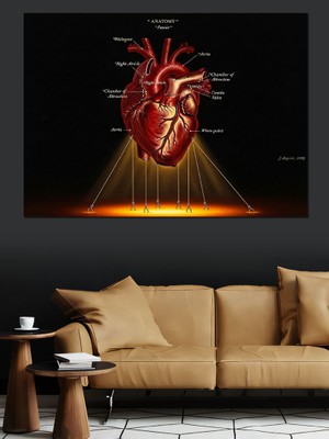 Artmeg Anatomik Kalp Sanatsal Çizim Dekoratif Kanvas - Mdf Ahşap Tablo