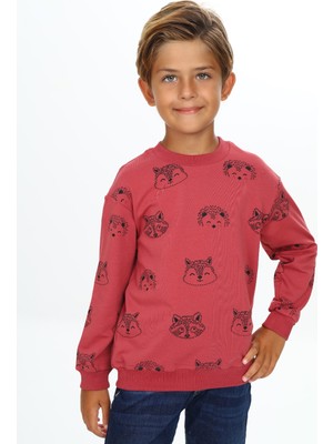 Toontoy Erkek Çocuk Relax Fit Kapüşonlu Cepli Hafif Düşük Omuz Nakışlı Sweatshirt