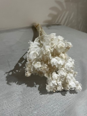 Ziva Dekor Pamuk 5 Dal