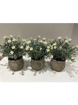 FB Cup Yaşam Alanlarınıza Doğal Bir Dokunuş: 3’lü Dekoratif Saksılı Yapay Çiçek Seti