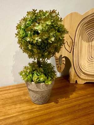 FB Cup Premium Yapay Sukulent / Canlı Görünümlü Dekoratif Bitki - Gri Saksılı 13X17 cm