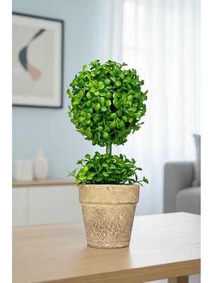 FB Cup Doğal Görünümlü Dekoratif Eskitme Saksılı Yapay Top Şimşir Ağacı - Masaüstü Ofis ve Ev Dekoru