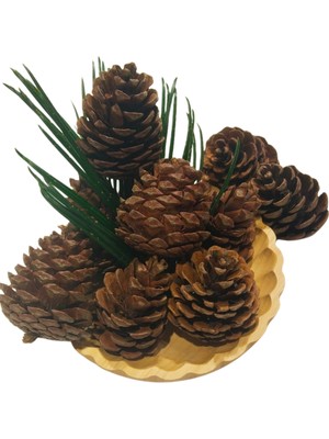 Yılbaşı Temalı 10 Adet Ham Çam Kozalağı, Doğal ve Şık Dekorasyon Için