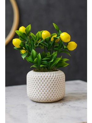 Yapay Limon Ağacı Beton Saksıda, Şık ve Doğal Görünüm, Dekorasyon Için Ideal