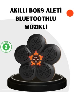 Datatek Evde Fitness Için Akıllı Boks Makinesi Işıklı Vuruş Noktalı Bluetoothlu