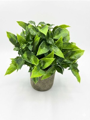 FB Cup Dekoratif Eskitme Gri Saksıda Gerçekçi Yapay Yeşil Bitki - Modern Masa ve Raf Çiçeği (24X18 Cm)