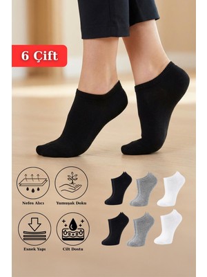 Rays 6'lı Çorap Renkli 1056