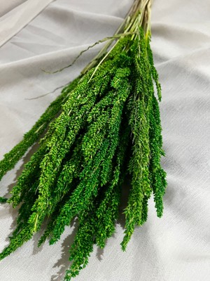 Ziva Dekor Yeşil Bulgur Otu 40 Gram