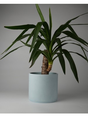 Dekoratif Beton Saksı- Büyük Boy - Tek Renk / Mermer Deseni Görünümlü - Silindir 4.5l - 20X18CM
