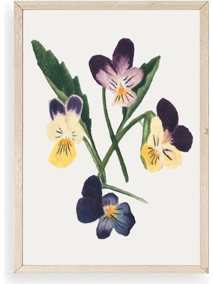 Durukar Çiçekler Ahşap Çerçeveli Tablo 30 x 42