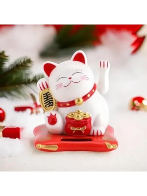 Aykn Bereket ve Uğur Getiren Şanslı Kedi (485O0)