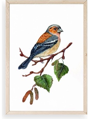 Durukar Kuş Ahşap Çerçeveli Tablo 23 x 30