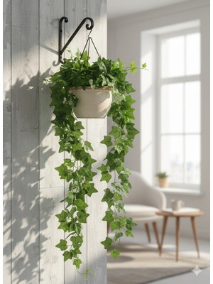 Yasima 5 Dallı Hadera Sarkıt Saksı ve Dekorasyon Süsü