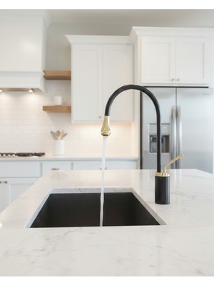 Emfa Aksesuar Siyah-Gold Mutfak Bataryası - Siyah-Altın Evye Bataryası - Siyah-Gold Lavabo Bataryası