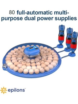 Epilons 80 Yumurta Kapasiteli Otomatik Çiftlik Kuluçka Makinesi : Yumurta, Bıldırcın, Civciv Ve Kanatlılar İçin Mz-80