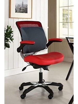 Concept Visco Medikal Ortopedik Bel Minderi Visko Koltuk Sırt Desteği Oto ve Çalışma Koltuk Minderi