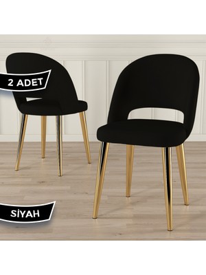 Canisa Pane Serisi 2 Adet Siyah Mutfak Sandalyesi Babyface Kumaş Gold Kaplama Ayak